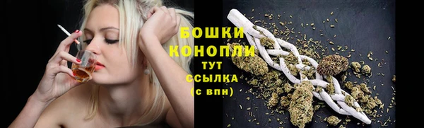 дурь Горняк