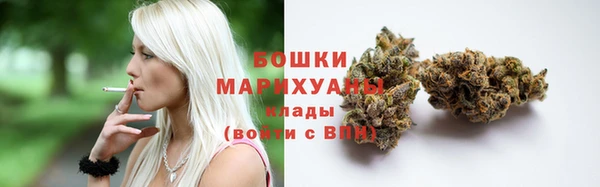 гидра Горно-Алтайск