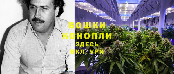 гидра Горно-Алтайск