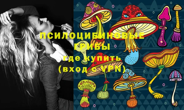 дурь Горняк