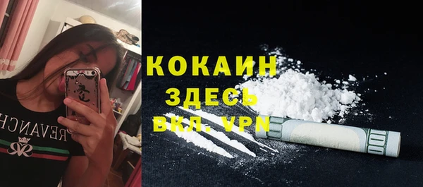 дурь Горняк